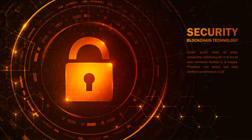 Cyber Security / Software Engineering